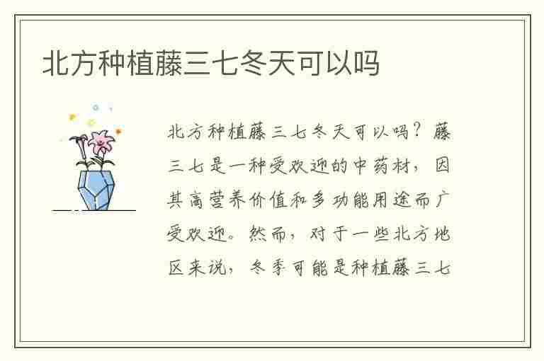 北方种植藤三七冬天可以吗(藤三七在北方如果过冬)